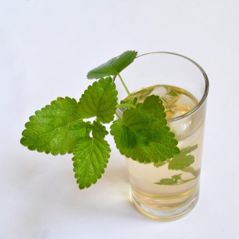 Lemon Balm